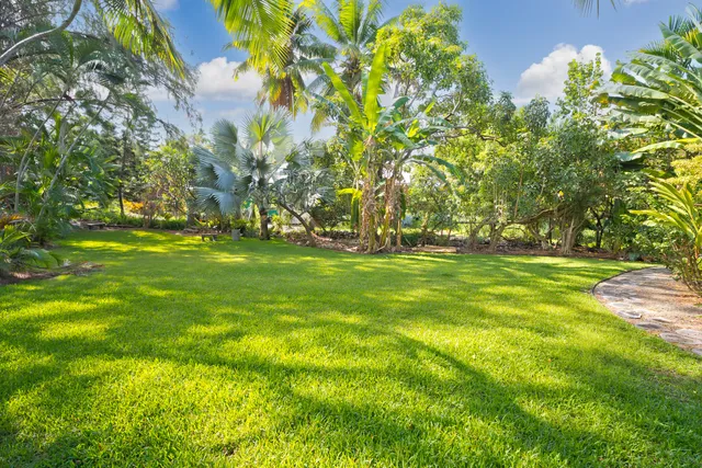 a view of a field with grass and trees