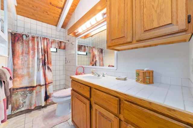 a bathroom with a toilet and a bathtub