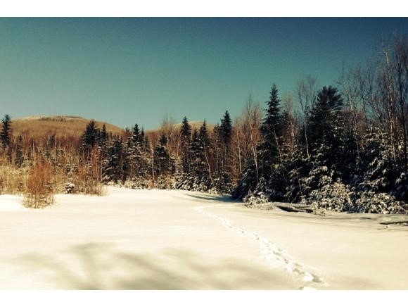 0 Ingerson Road, Unit 3 Jefferson, NH 03583 - Photo 8 of 10 Gallery Image 8