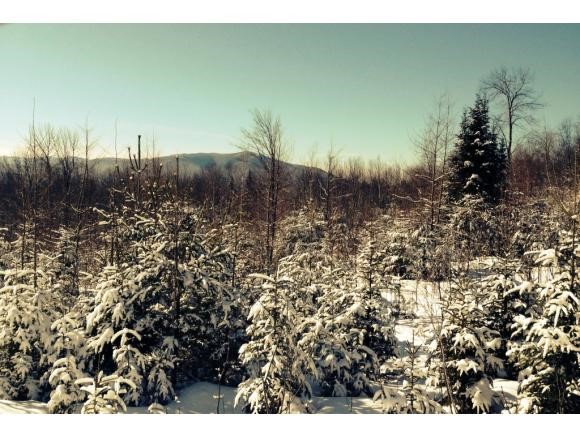 0 Ingerson Road, Unit 3 Jefferson, NH 03583 - Photo 10 of 10 Gallery Image 10