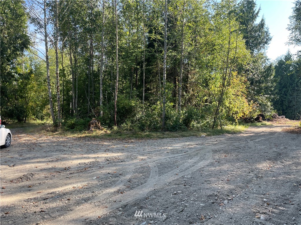 5728 Hoogdal Branch Road Sedro-Woolley, WA 98284 - Photo 1 of 14 a view of a yard with large trees