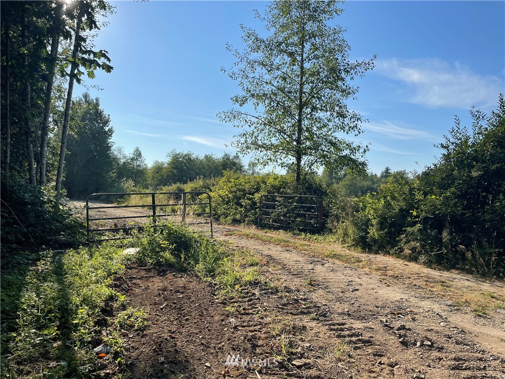 5728 Hoogdal Branch Road Sedro-Woolley, WA 98284 - Photo 14 of 14 a view of a road with plants and trees