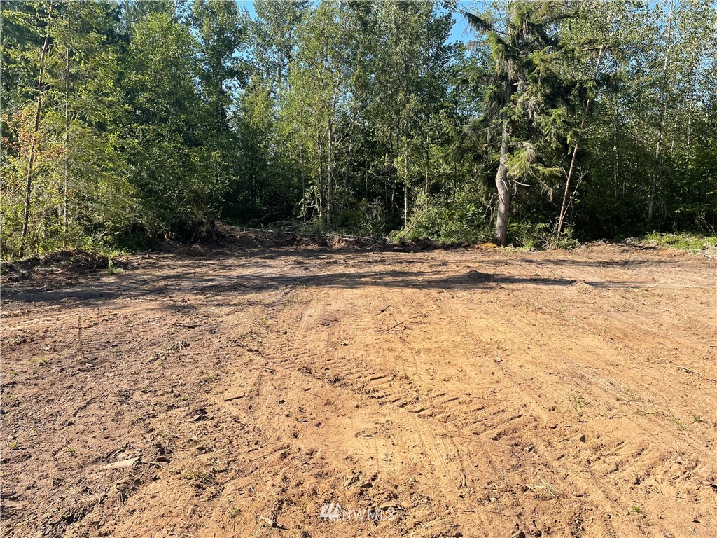 5728 Hoogdal Branch Road Sedro-Woolley, WA 98284 - Photo 3 of 14 a view of a yard with a tree