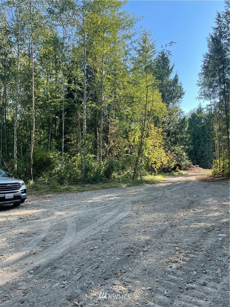 5728 Hoogdal Branch Road Sedro-Woolley, WA 98284 - Photo 5 of 14 a view of a yard with a tree