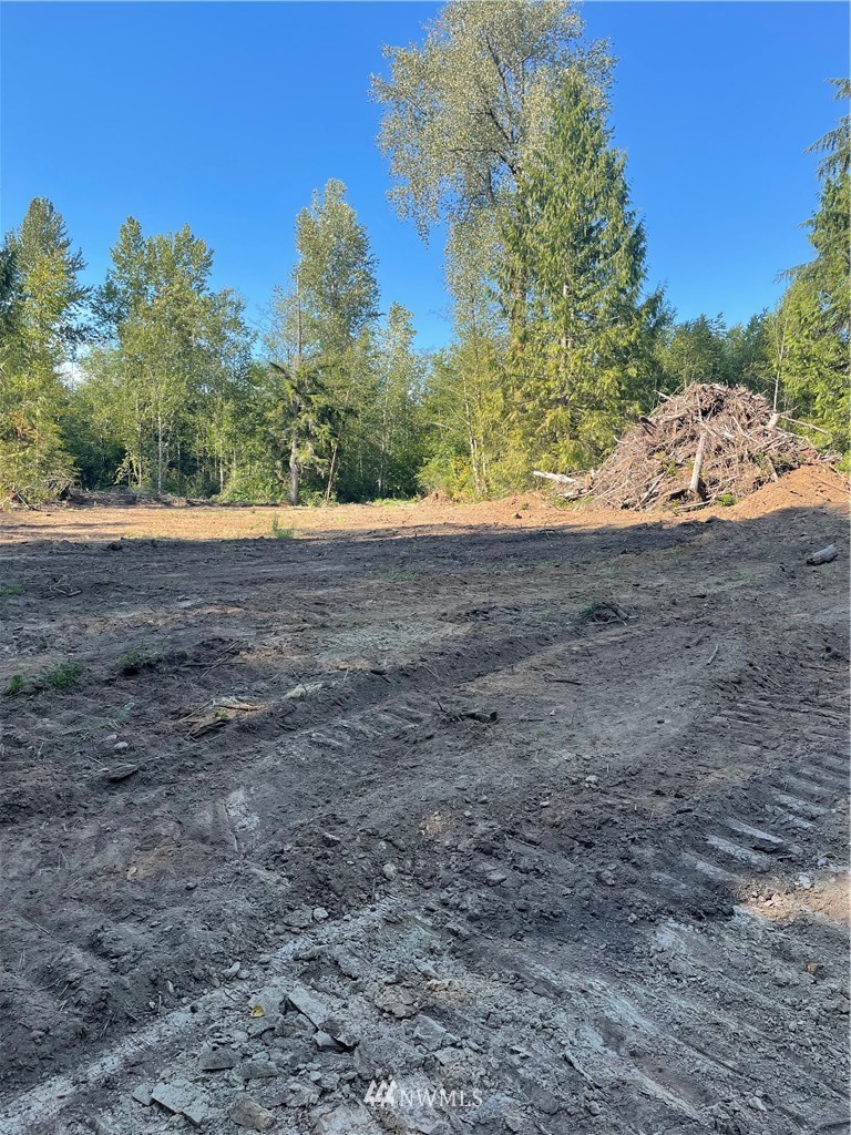 5728 Hoogdal Branch Road Sedro-Woolley, WA 98284 - Photo 6 of 14 a view of dirt field with trees in the background