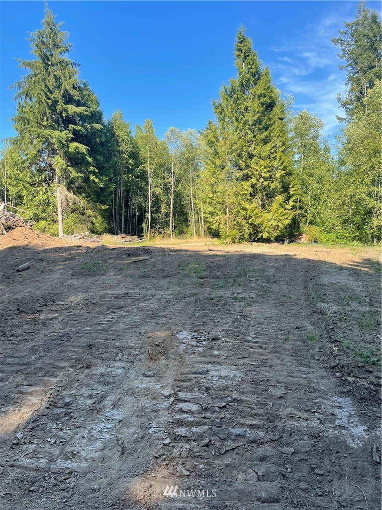 5728 Hoogdal Branch Road Sedro-Woolley, WA 98284 - Photo 7 of 14 a view of a yard with a house