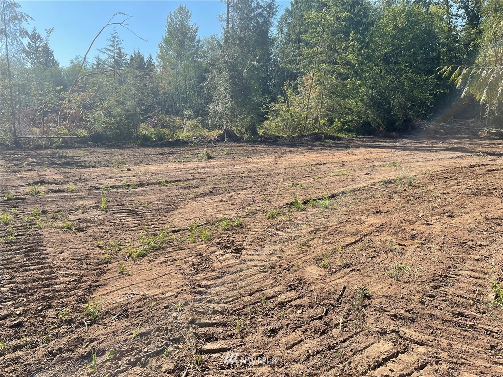5728 Hoogdal Branch Road Sedro-Woolley, WA 98284 - Photo 8 of 14 a view of a yard with a tree