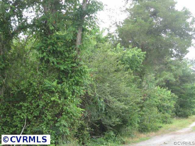 0 Rt 14 Shacklefords, VA 23156 - Photo 3 of 3 Other