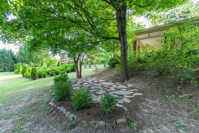 a view of a yard with plants and trees