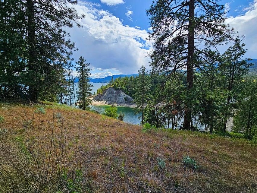 Tbd Roper Bay Drive Kettle Falls, WA 99141 - Photo 5 of 12 Gallery Image 5