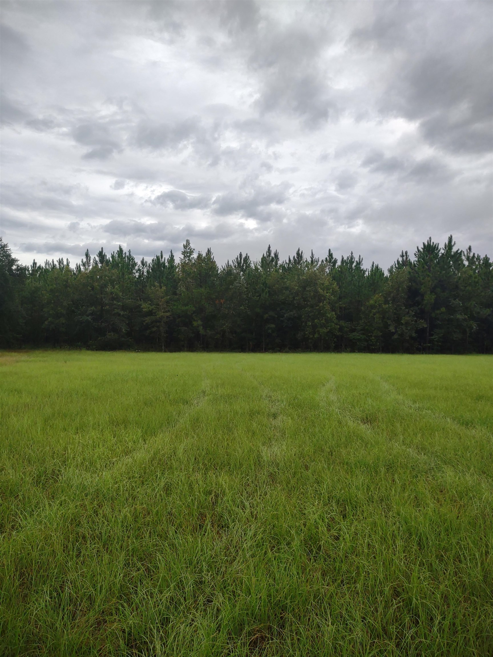 0 Bobby King Road Perry, FL 32347 - Photo 1 of 2 Gallery Image 1