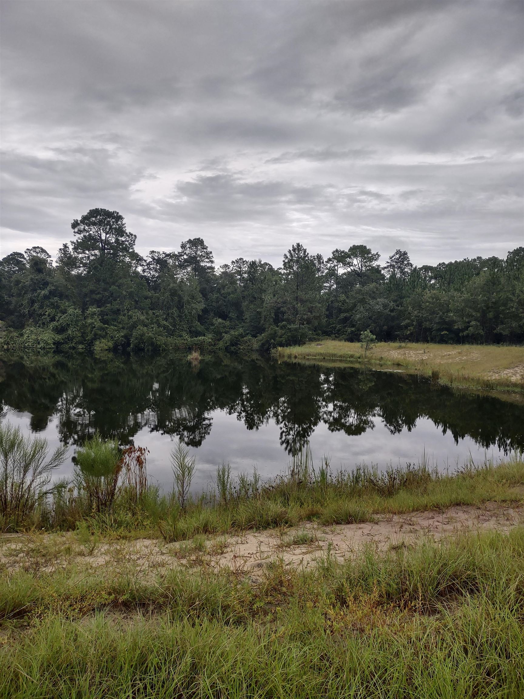 0 Bobby King Road Perry, FL 32347 - Photo 2 of 2 Gallery Image 2
