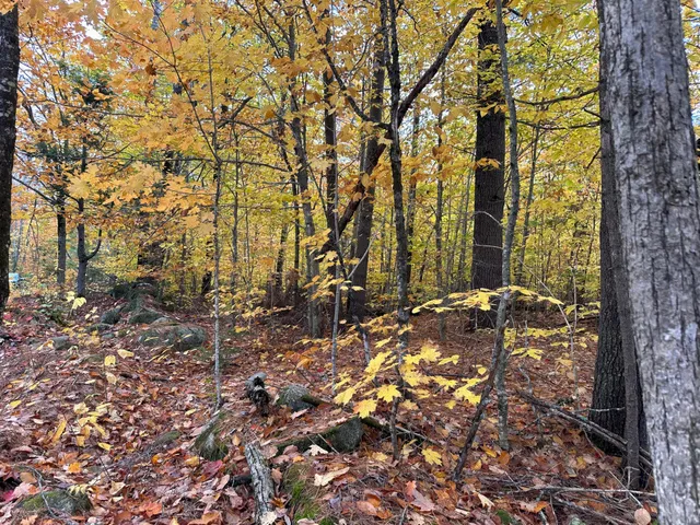 $12,500 | M1-l19 Homestead Hill Road, Mercer, ME 04957