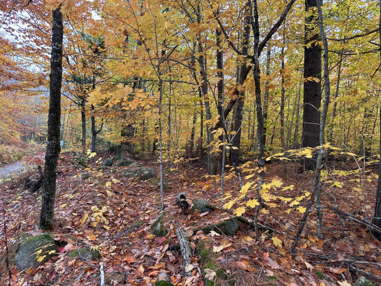 M1-l19 Homestead Hill Road Mercer, ME 04957 - Photo 5 of 9 IMG_2382_result