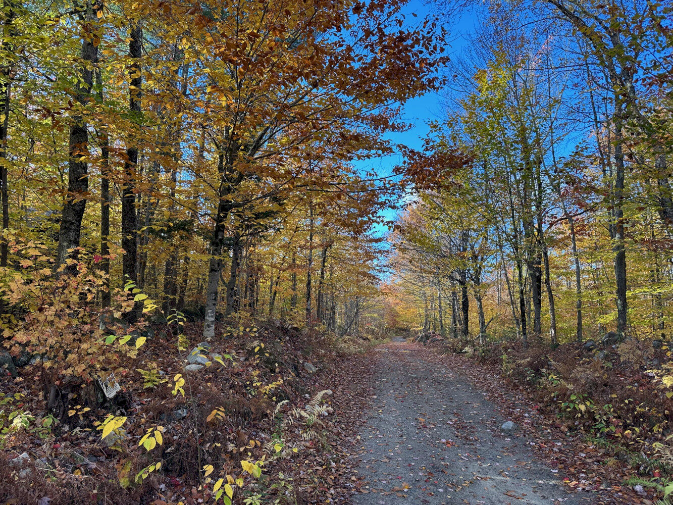 M1-l19 Homestead Hill Road Mercer, ME 04957 - Photo 6 of 9 IMG_2383_result