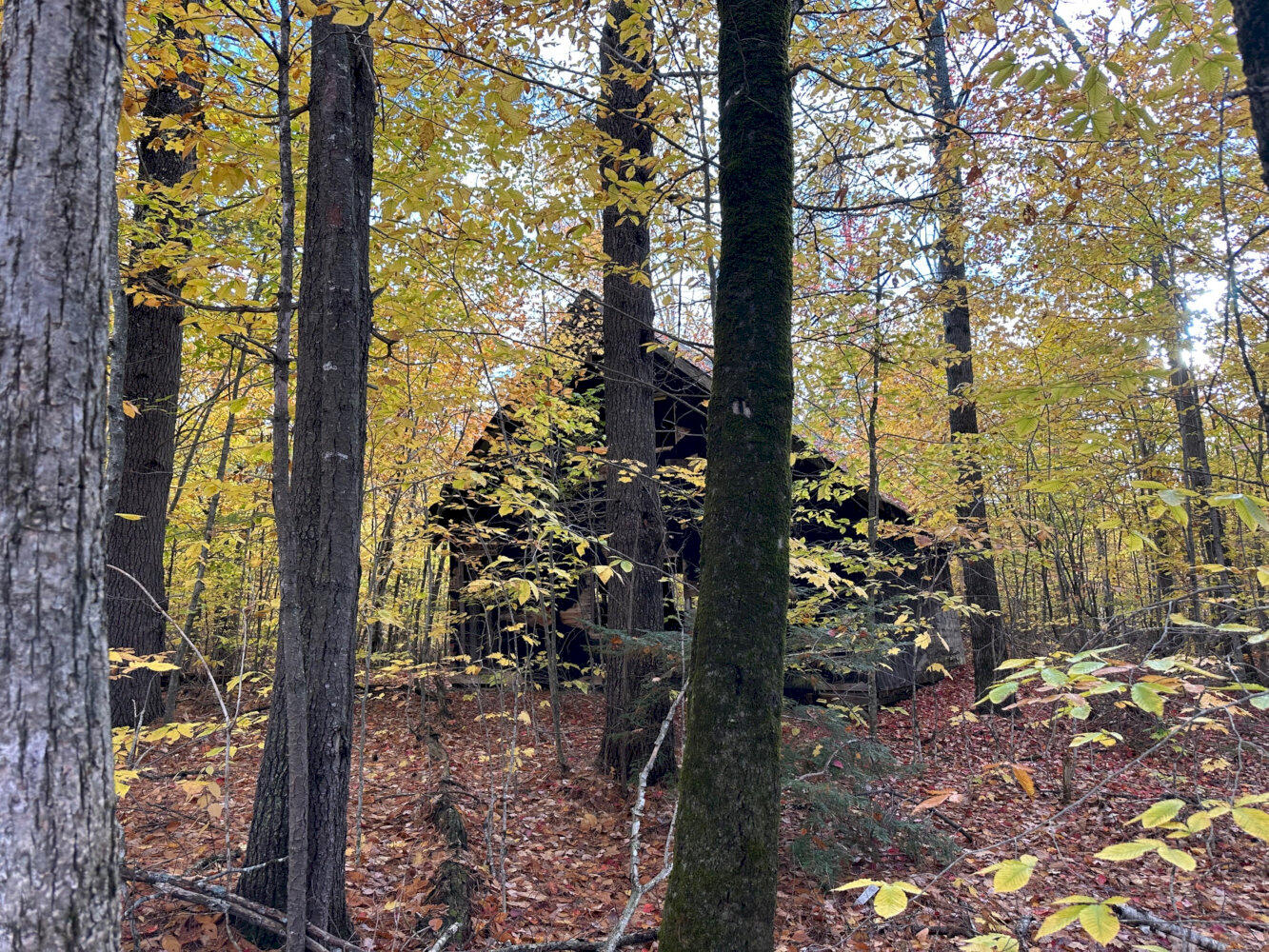 M1-l19 Homestead Hill Road Mercer, ME 04957 - Photo 8 of 9 IMG_2379_result