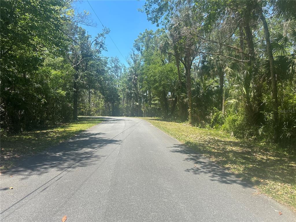 650 Miller Creek Road Crystal River, FL 34428 - Photo 7 of 9