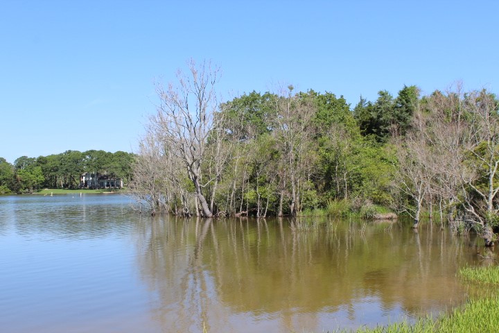 Lot 22 Hickory Ridge Drive Normangee, TX 77871 - Photo 7 of 27 a view of lake