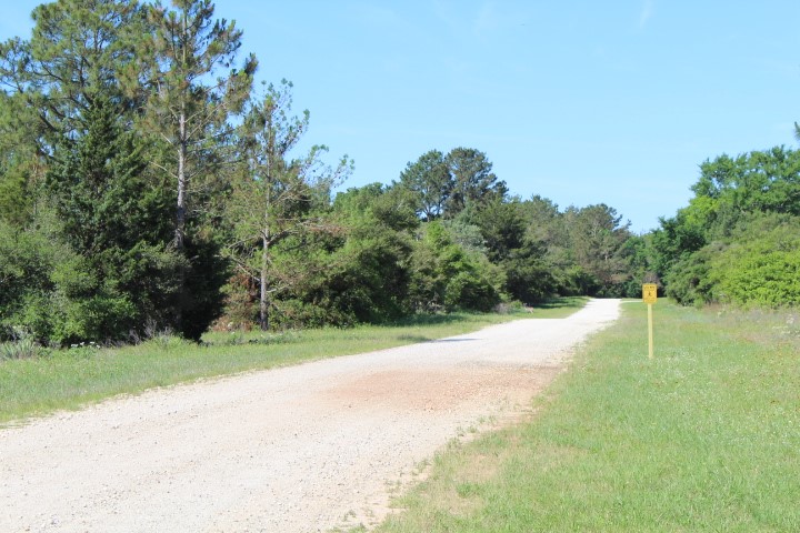Lot 22 Hickory Ridge Drive Normangee, TX 77871 - Photo 9 of 27 a view of a yard with a tree