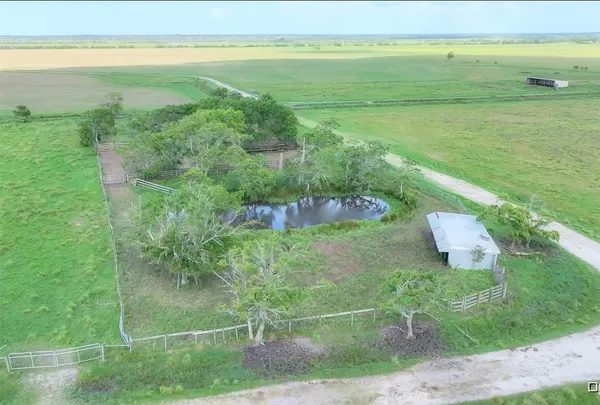 a view of a house with a large window and a yard with plants and large trees