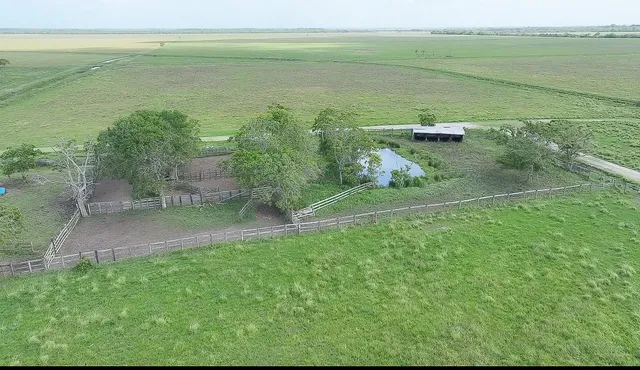 a view of a house with a large window and a yard with plants and large trees
