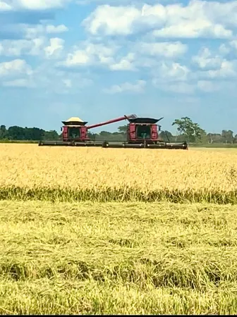 $5,440,000 | 65 And Fm 1724 Anahuac Tx 77514, Anahuac, TX 77514