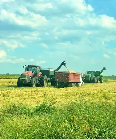 $5,440,000 | 65 And Fm 1724 Anahuac Tx 77514, Anahuac, TX 77514