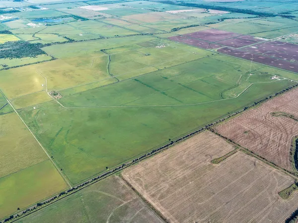 a view of a tennis court