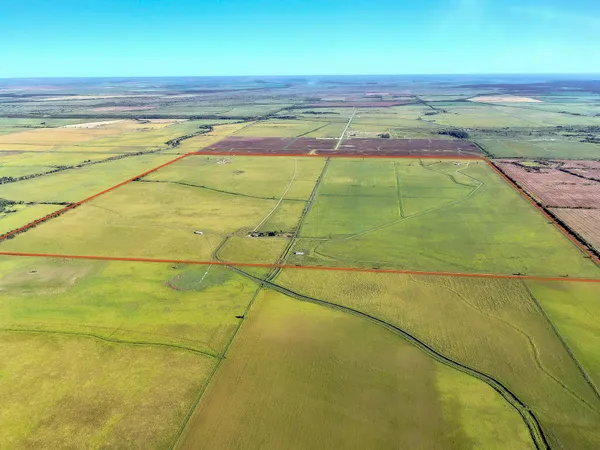 a view of a field with an ocean view