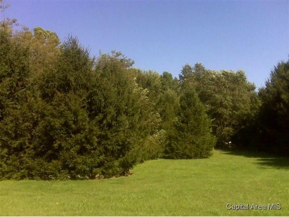 3085 Covered Bridge Road Chatham, IL 62629 - Photo 1 of 4