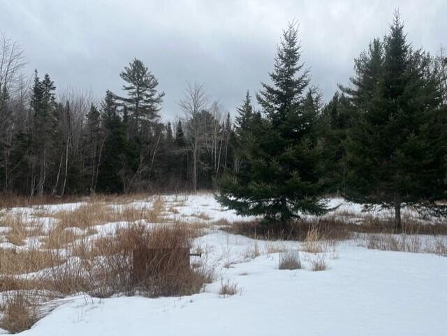 115 Cross Road Columbia Falls, ME 04623 - Photo 22 of 25 cr22