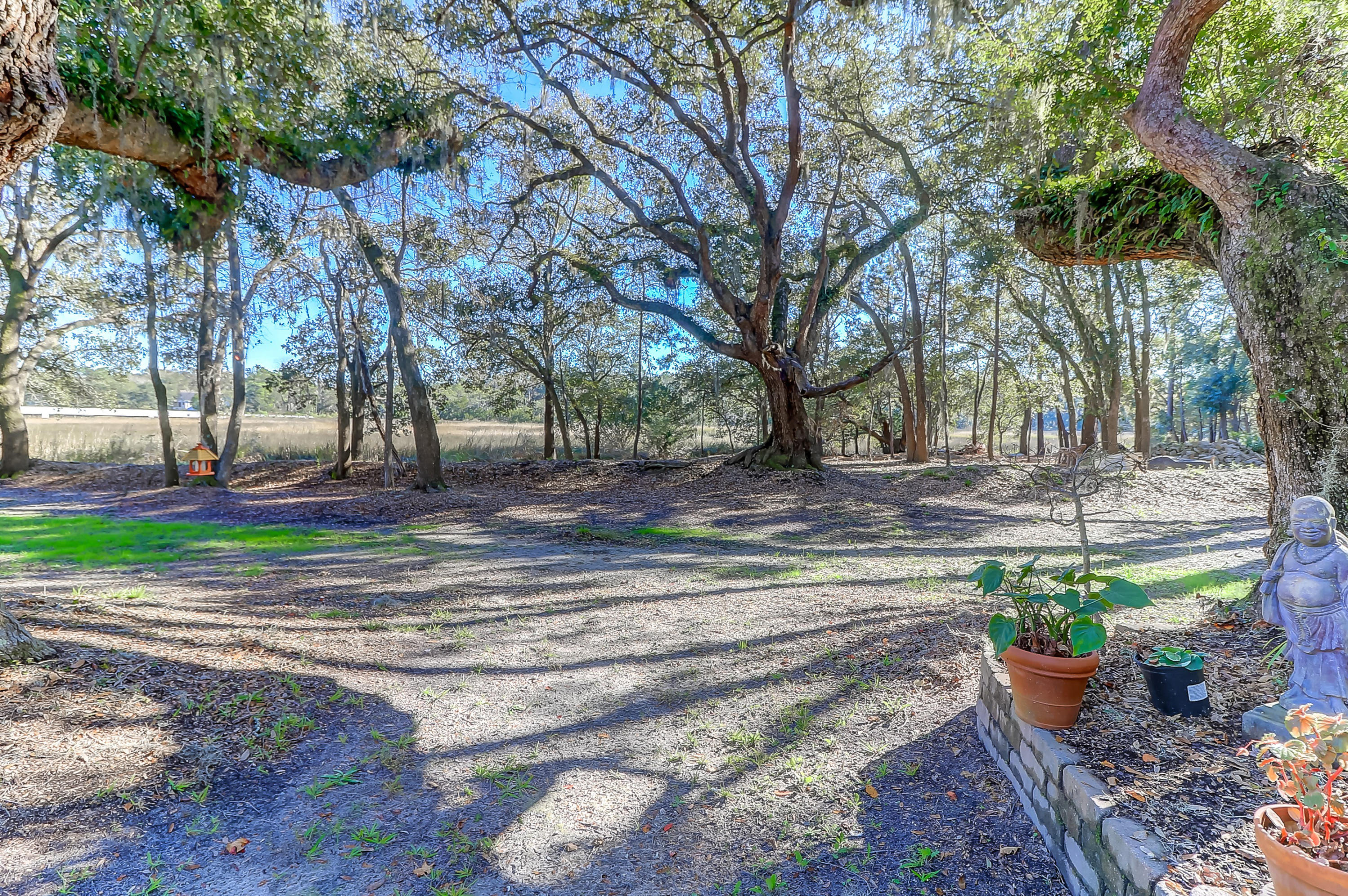 3949 River Road Johns Island, SC 29455 - Photo 24 of 29 River Rear Yard