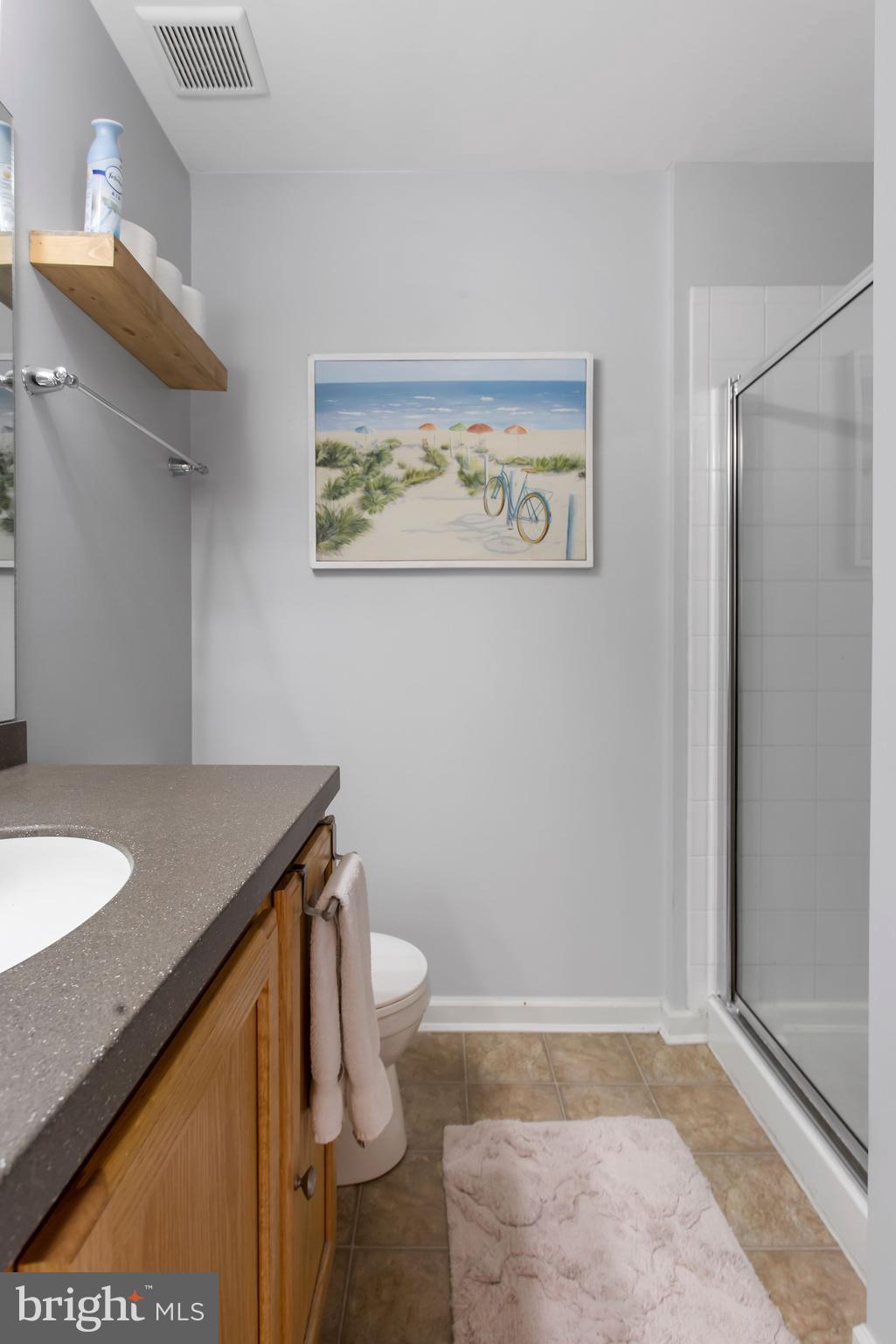 64 Forest View Terrace Hanover, PA 17331 - Photo 15 of 32 Primary bedroom en-suite bath