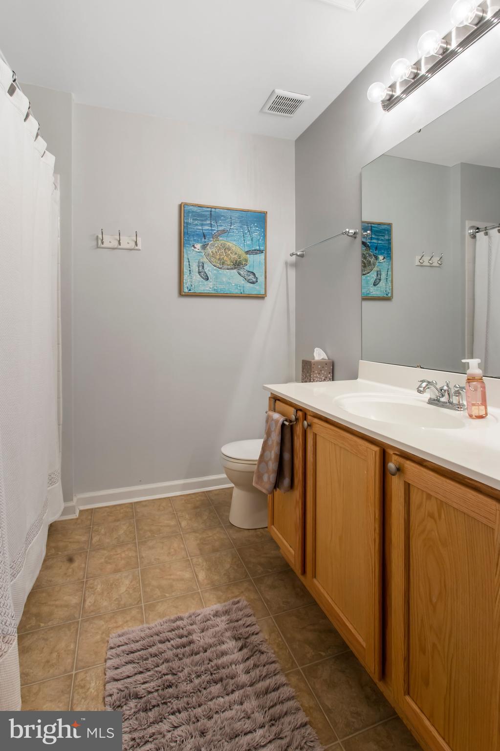 64 Forest View Terrace Hanover, PA 17331 - Photo 18 of 32 Upstairs hall bath w/ tub shower combo