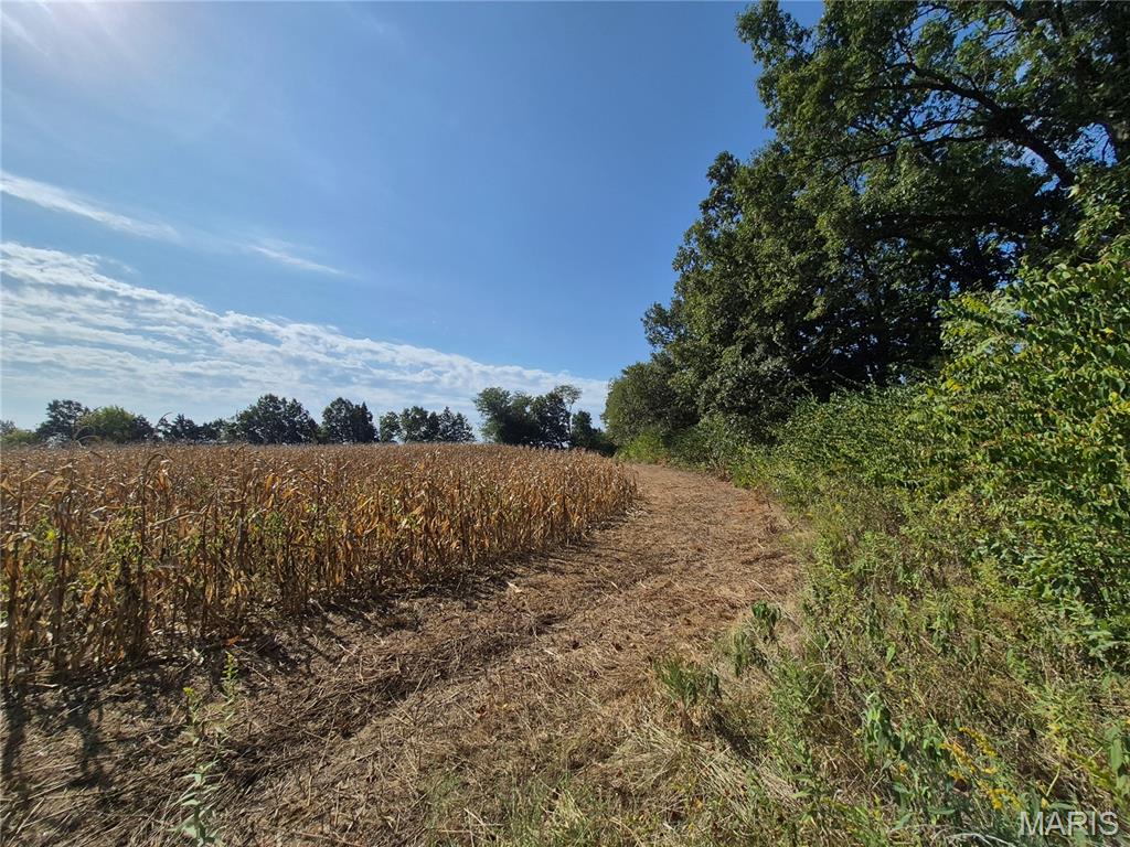 0 Russell Road Troy, MO 63379 - Photo 10 of 31 Gallery Image 10