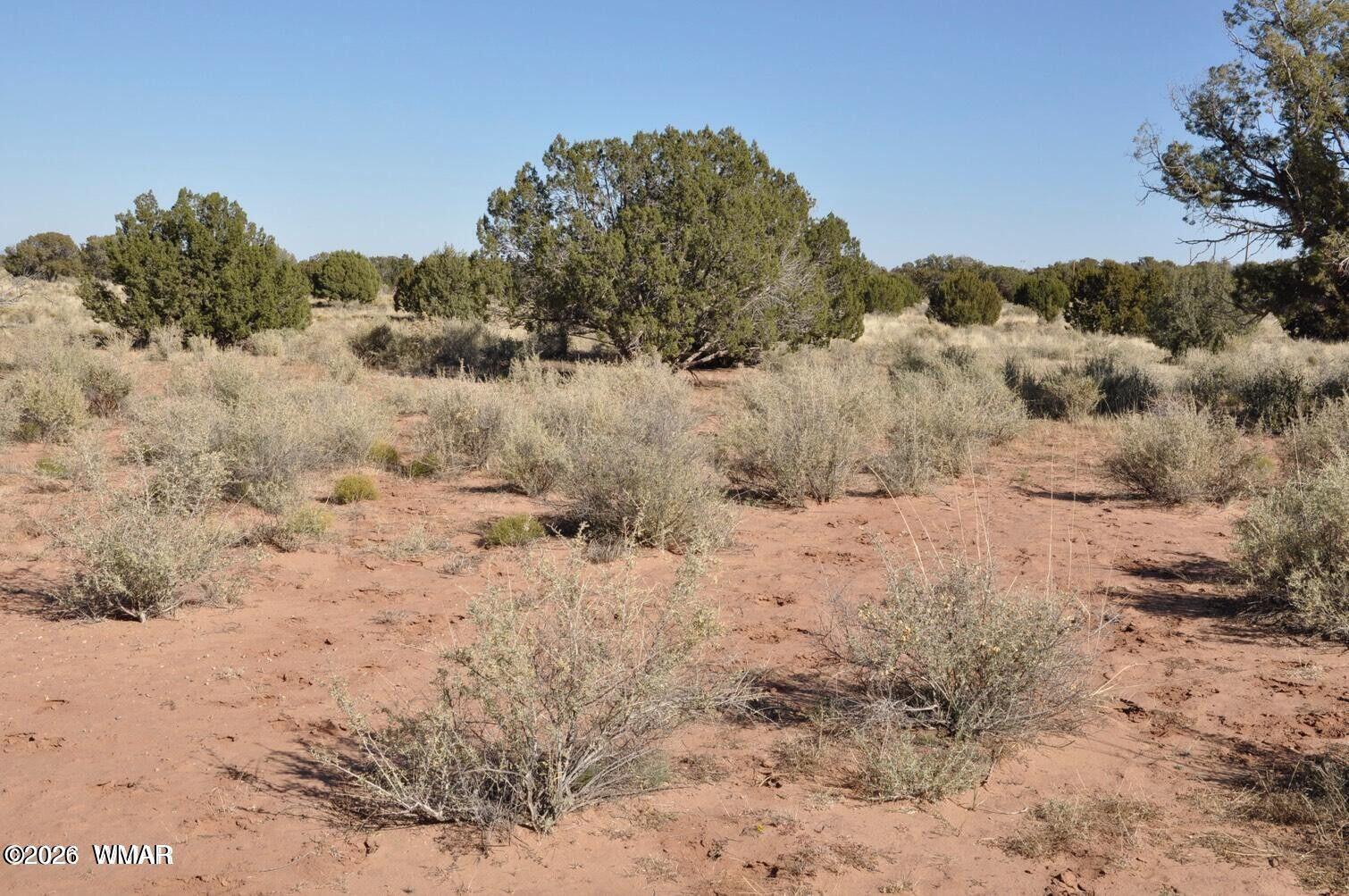 5039 Pima Road Snowflake, AZ 85937 - Photo 6 of 21 a view of a dry yard covered with snow in the background