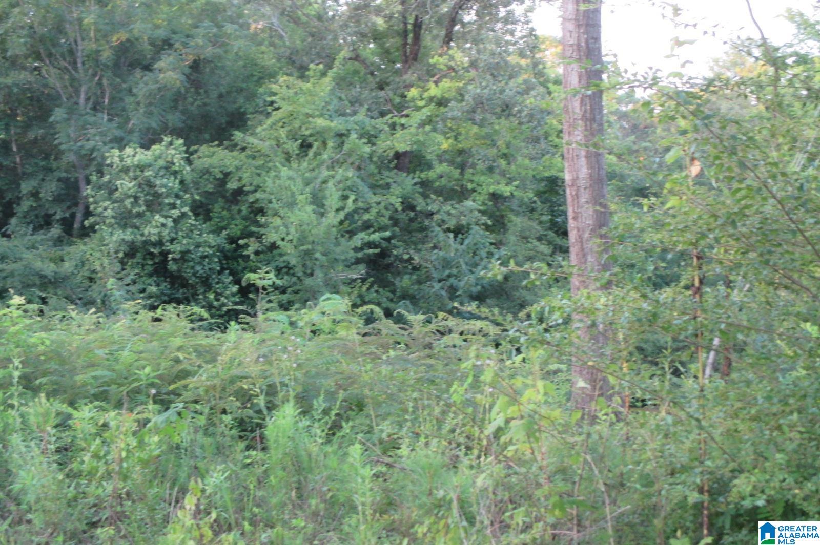 6151 Highway 27 Springville Al Springville, AL 35146 - Photo 17 of 27