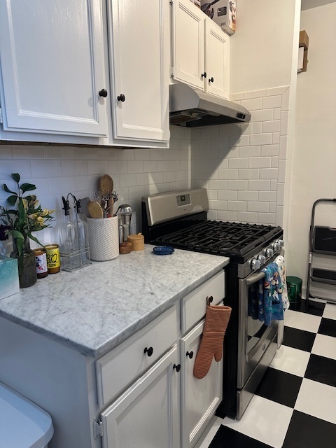 1459 West Elmdale Avenue, Unit 3 Chicago, IL 60660 - Photo 10 of 13 a kitchen with stainless steel appliances granite countertop a stove and a cabinets