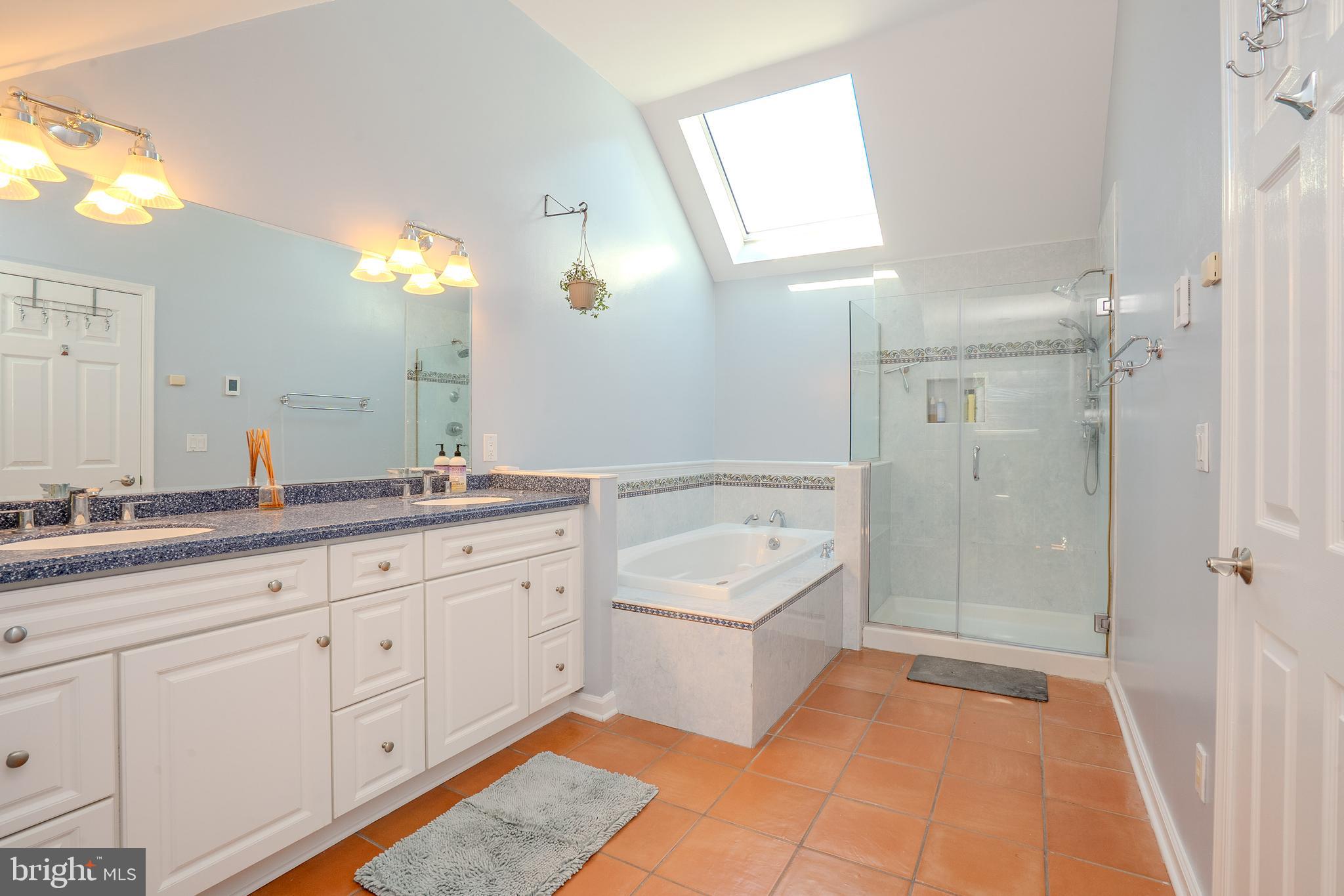 26 Baldwin Street Pennington, NJ 08534 - Photo 45 of 72 Main bath with skylight & vaulted ceiling