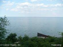 7369 Maple Road Lexington, MI 48450 - Photo 6 of 6 7369 Maple - Lake Huron views.jp
