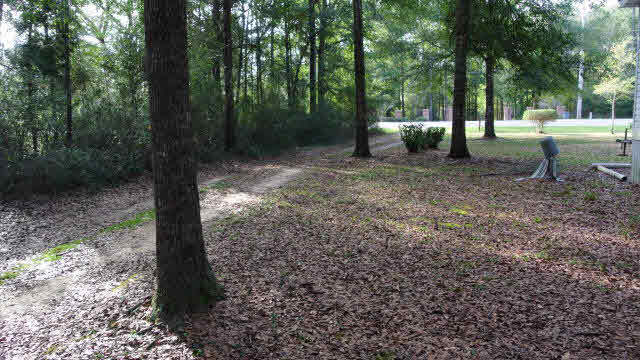 14260 County Road 9 Summerdale, AL 36580 - Photo 5 of 16 Circle Drive