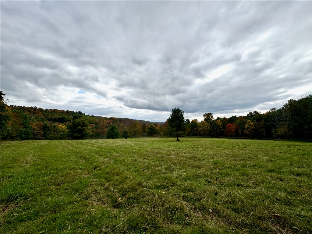 Gallop Hill Road Walton, NY 13856 - Photo 26 of 48 Gallery Image 26
