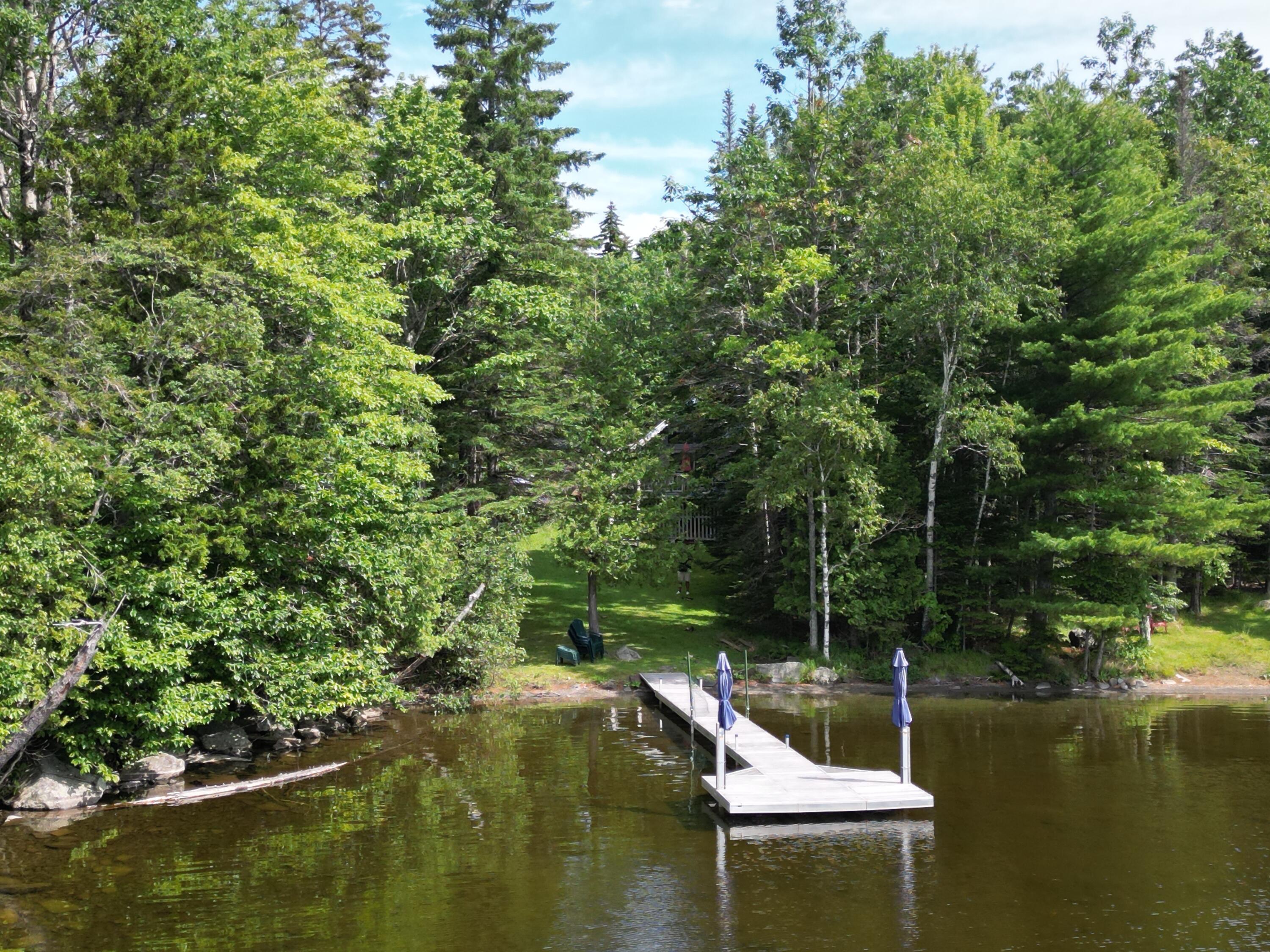 347 Harford's Point Road Greenville Junction, ME 04442 - Photo 3 of 53 DJI_0273