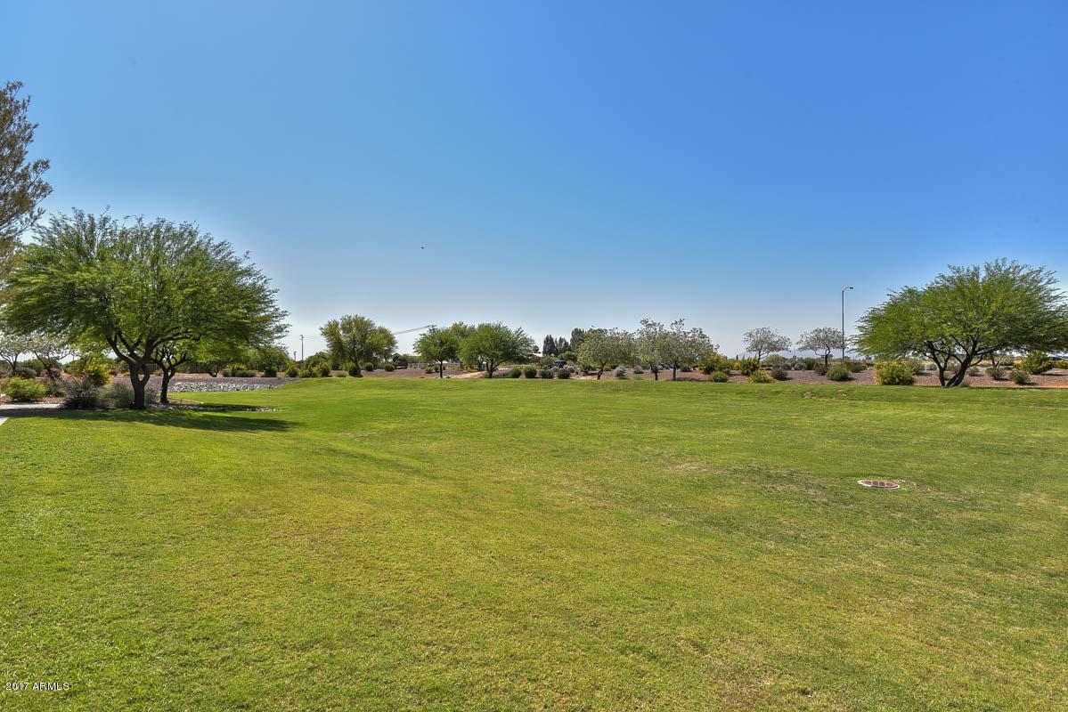 17424 West Boca Raton Road Surprise, AZ 85388 - Photo 5 of 38 Common Area