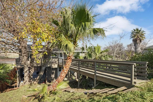a view of a roof deck with potted plants and palm trees