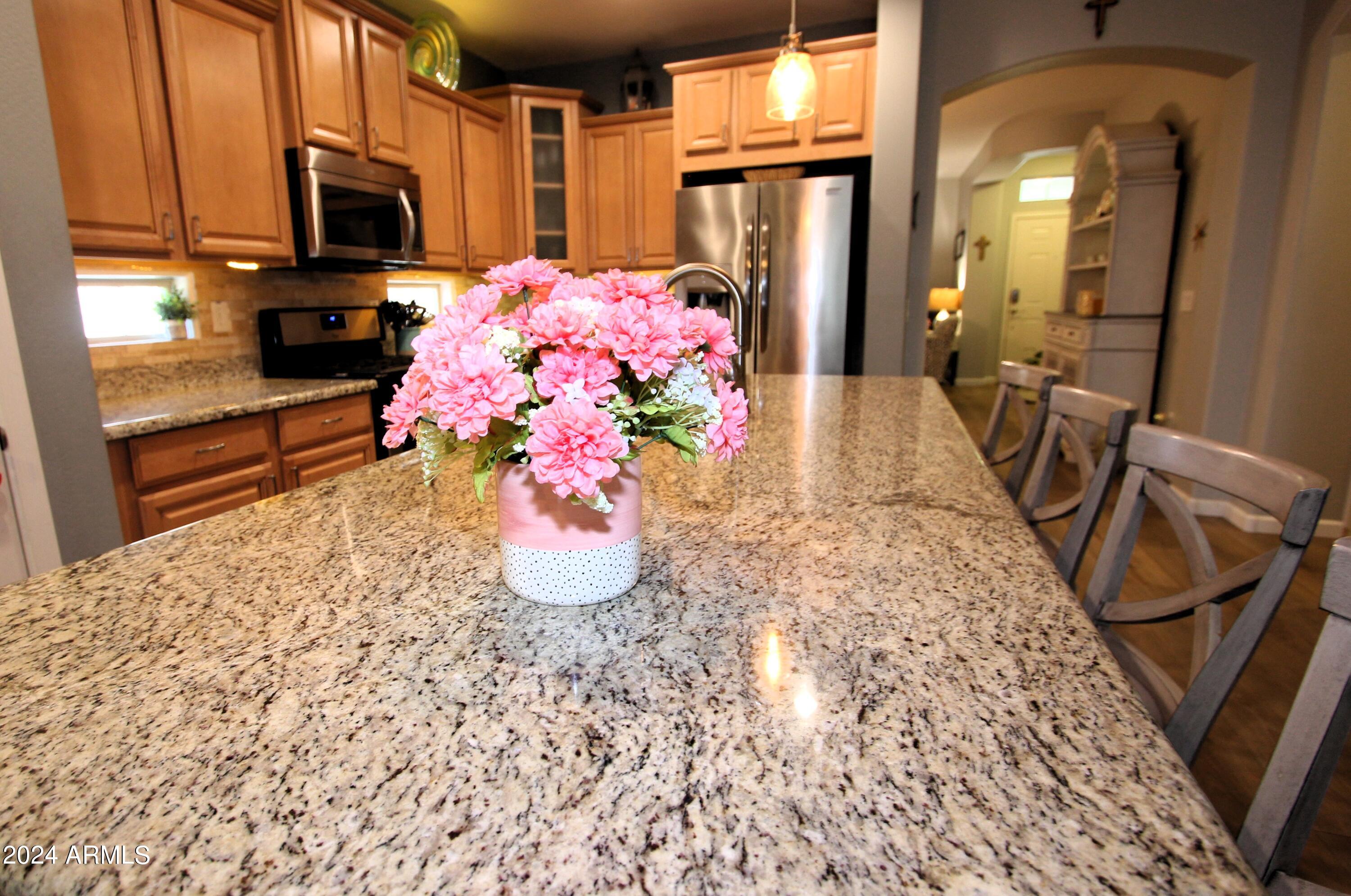 3099 East Ridgewood Lane Gilbert, AZ 85298 - Photo 9 of 38 IMG_7355