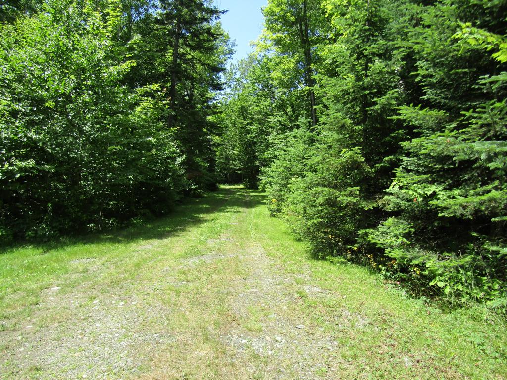 62 Rogers Pond Road Pittsburg, NH 03592 - Photo 2 of 27
