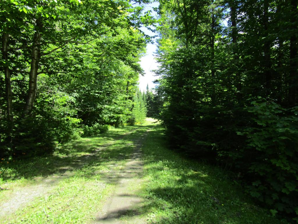 62 Rogers Pond Road Pittsburg, NH 03592 - Photo 27 of 27