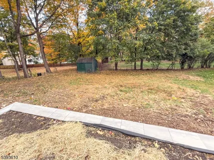 a view of a backyard with large trees