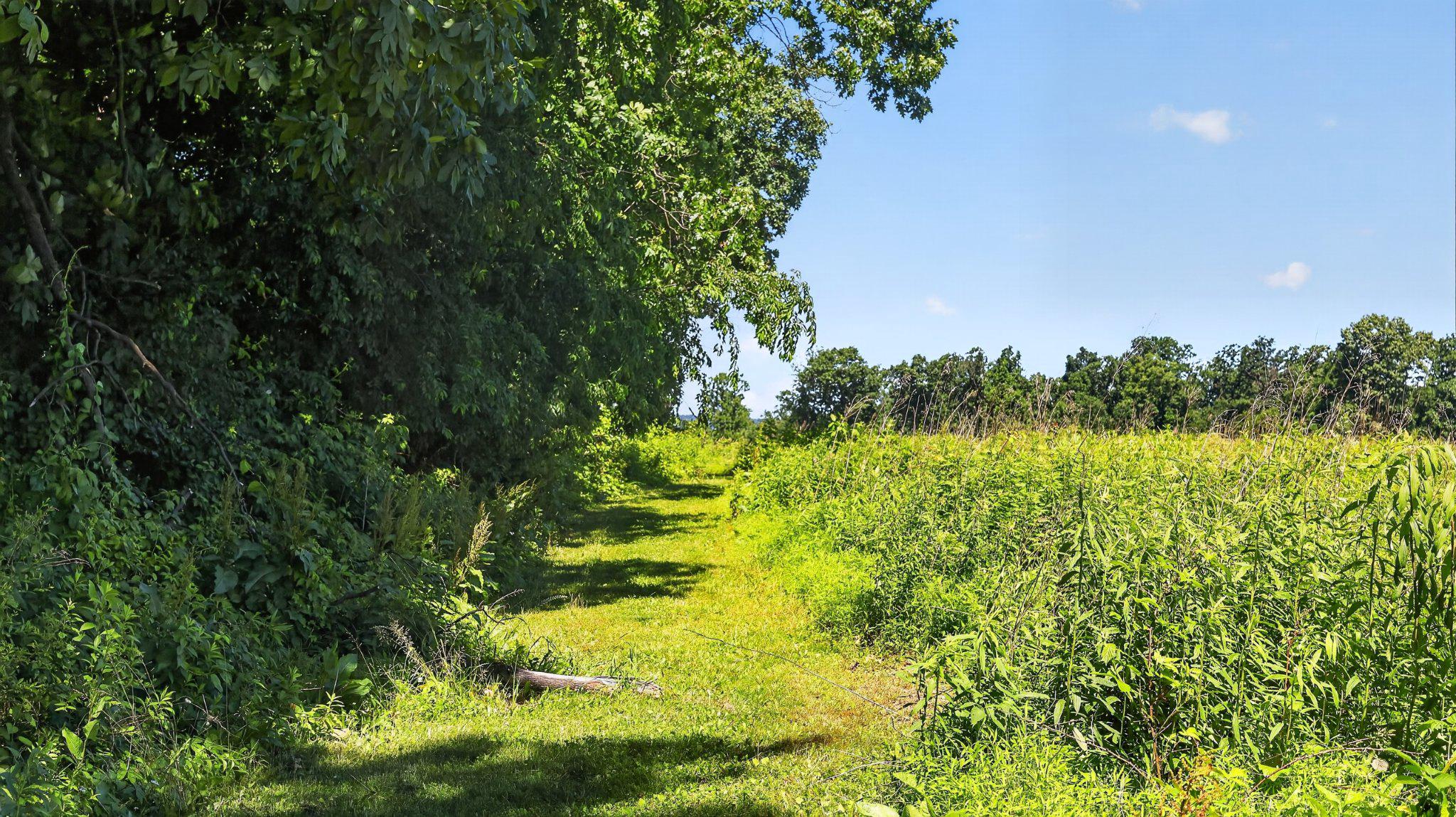 8042 Bobs Road Felton, PA 17322 - Photo 34 of 47 Walking path, facing SE